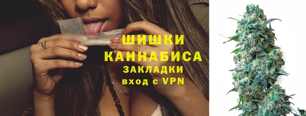 скорость Ельня