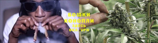 скорость Ельня