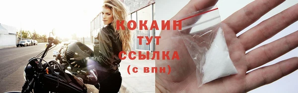 скорость Ельня