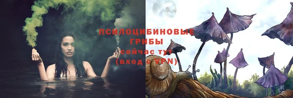 прущая мука Елабуга
