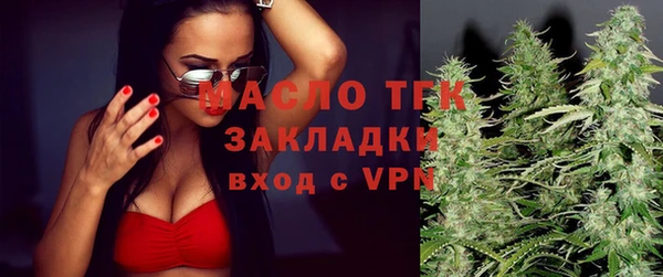 скорость Ельня