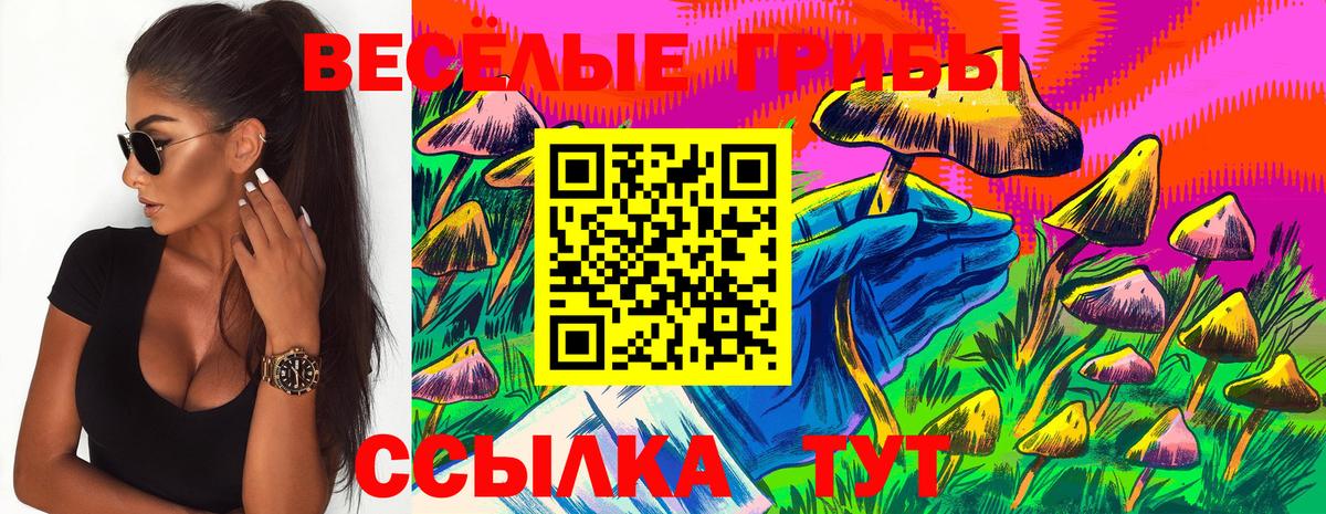 наркошоп  Галлюциногенные грибы Magic Shrooms  Вход с VPN  Чайковский  Псилоцибиновые грибы GOLDEN TEACHER 