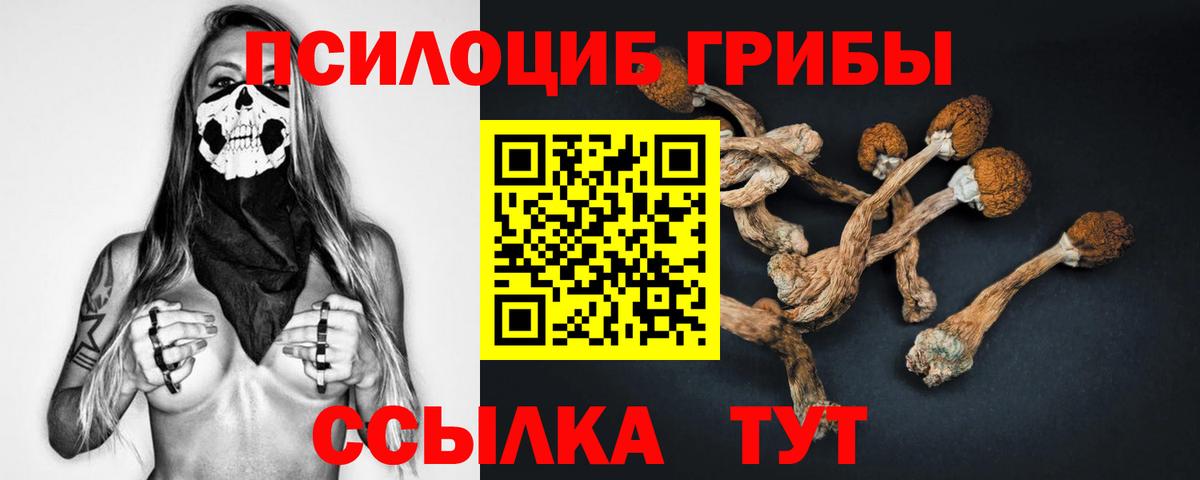 Галлюциногенные грибы мицелий Чайковский
